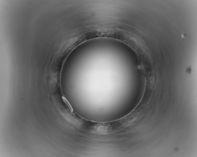 X0000091960756200709131226