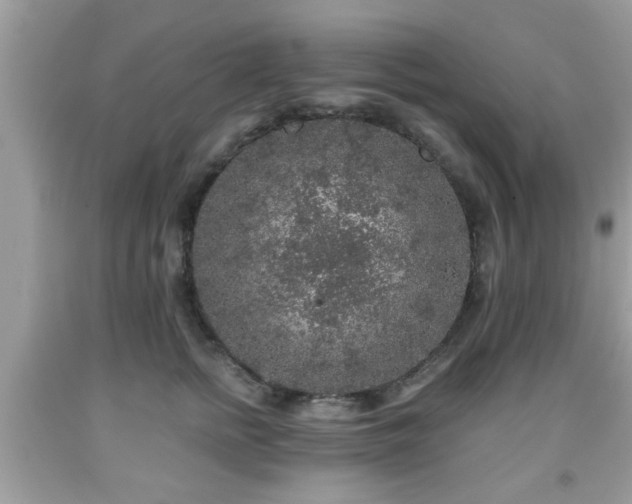 X0000091960758200709131226