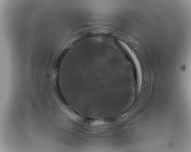 X0000091960759200709131226