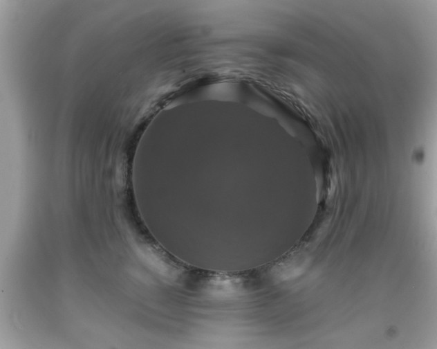 X0000091960760200709131226