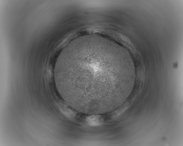 X0000091960761200709131226