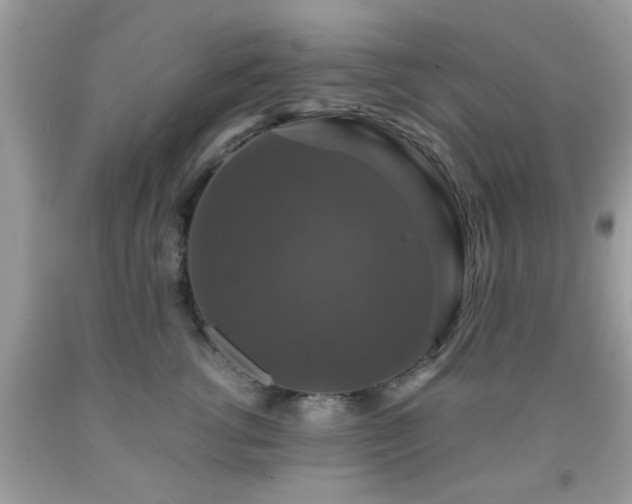 X0000091960762200709131226