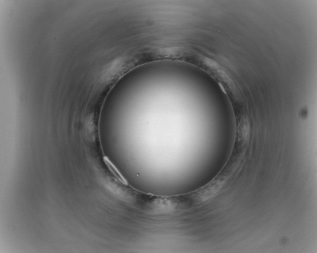 X0000091960764200709131226