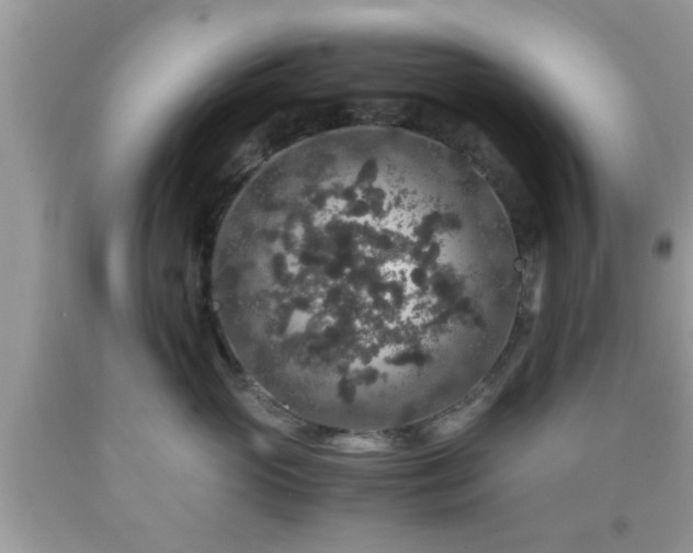 X0000091960765200709131226