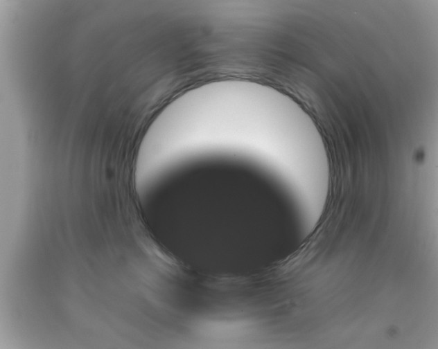 X0000091960766200709131226