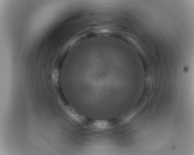 X0000091960767200709131226