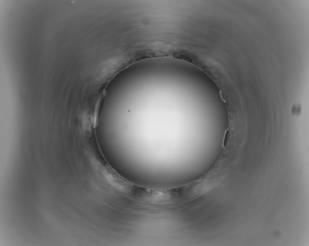 X0000091960768200709131226