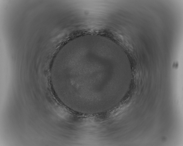 X0000091960769200709131226