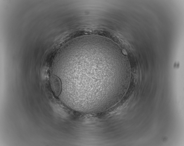 X0000091960770200709131226