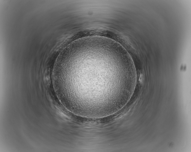 X0000091960771200709131226