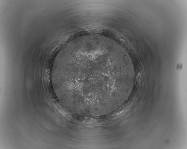 X0000091960772200709131226