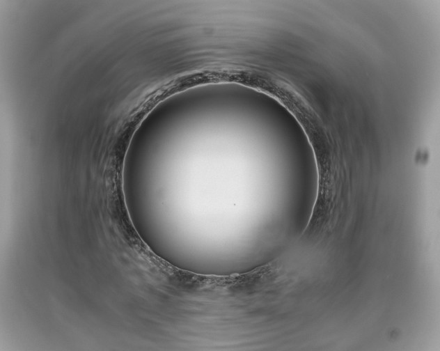 X0000091960773200709131226