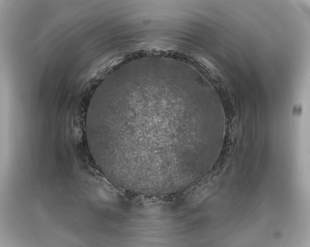 X0000091960774200709131226