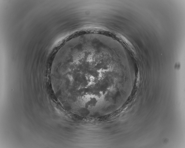 X0000091960775200709131226