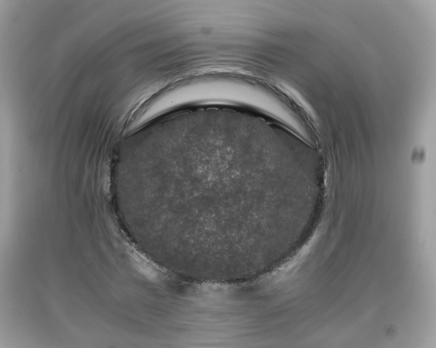 X0000091960777200709131226