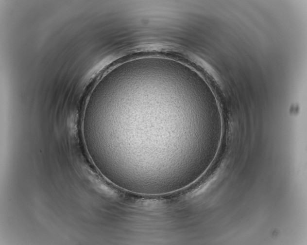 X0000091960778200709131226