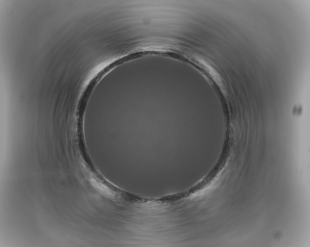 X0000091960779200709131226