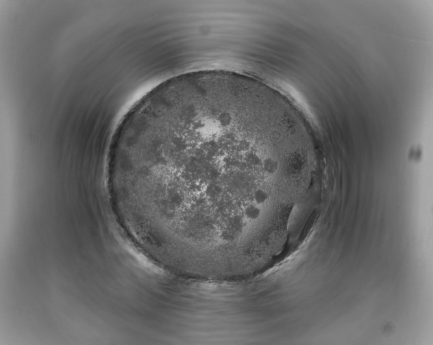 X0000091960780200709131226