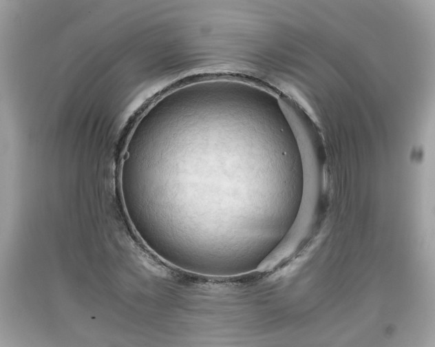 X0000091960781200709131226