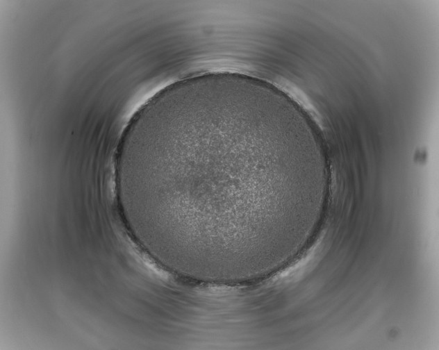 X0000091960782200709131226