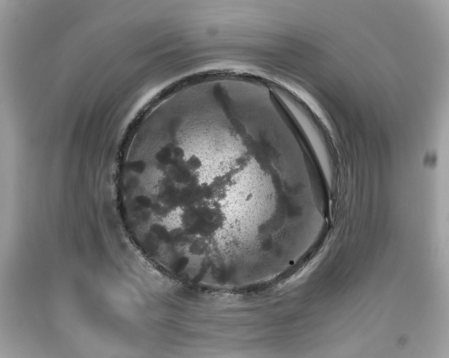 X0000091960783200709131226