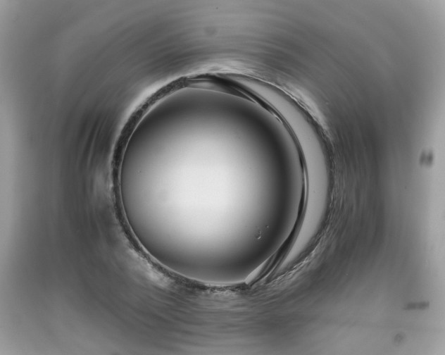 X0000091960784200709131226