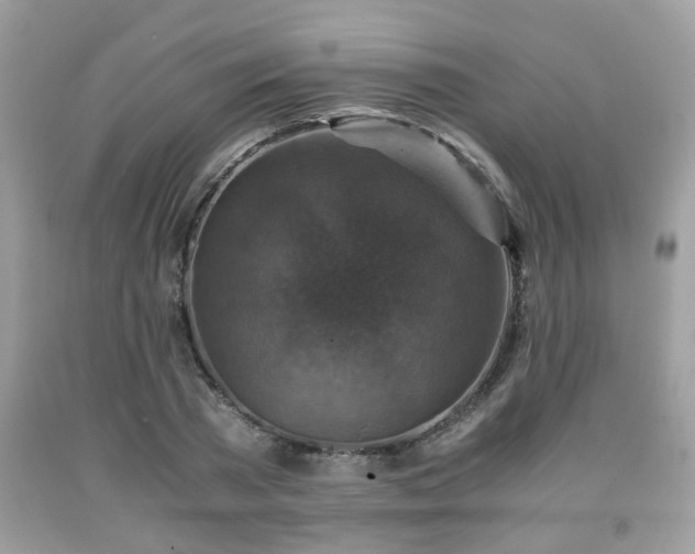 X0000091960785200709131226