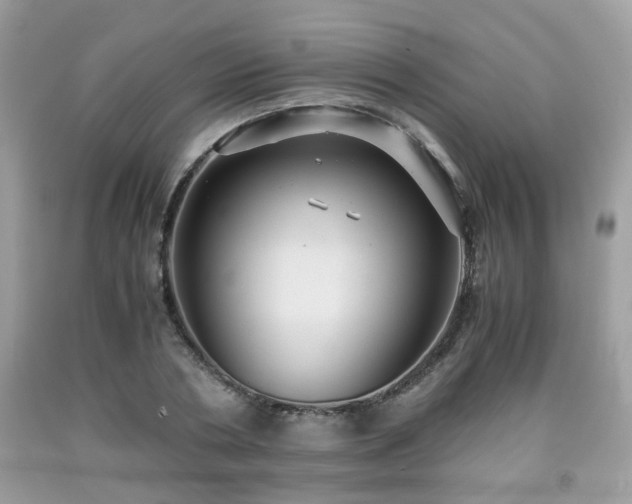 X0000091960786200709131226