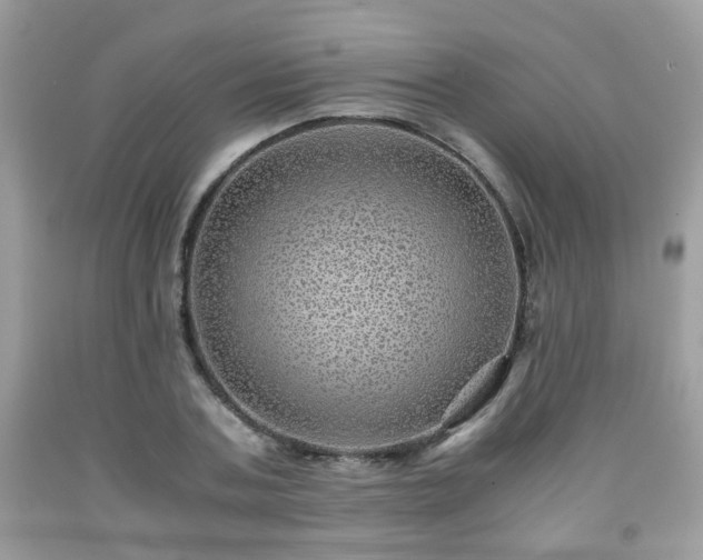 X0000091960787200709131226