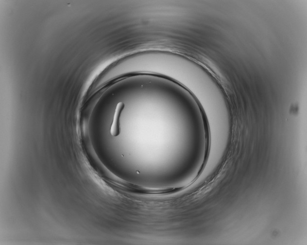 X0000091960788200709131226