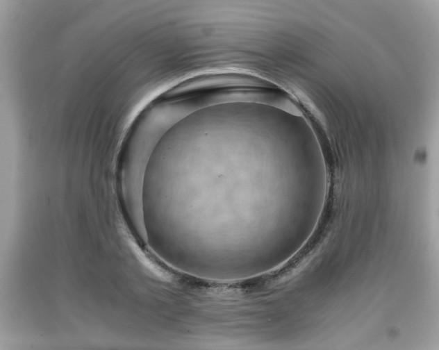 X0000091960789200709131226