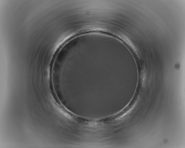 X0000091960790200709131226