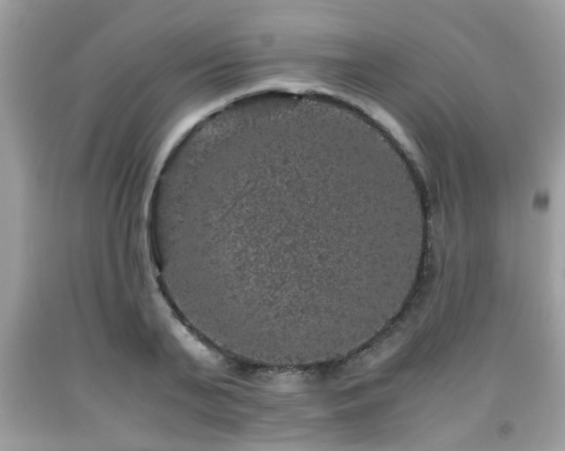 X0000091960791200709131226