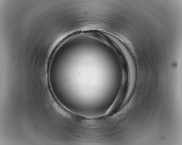 X0000091960792200709131226