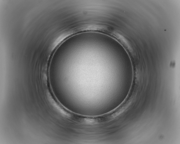 X0000091960794200709131226