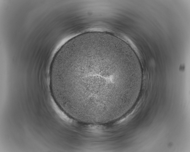 X0000091960795200709131226