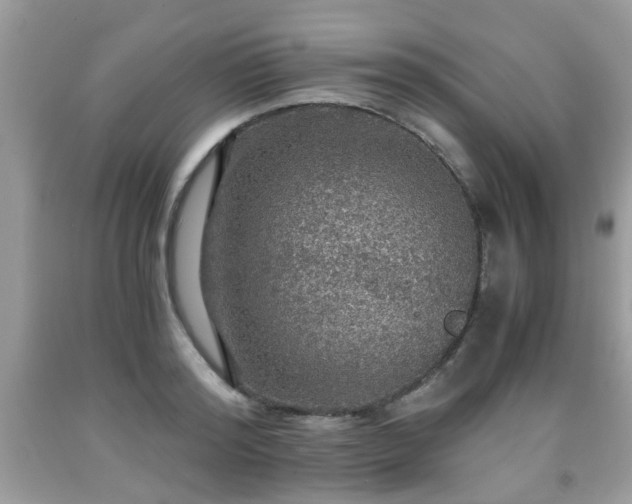 X0000091960796200709131226