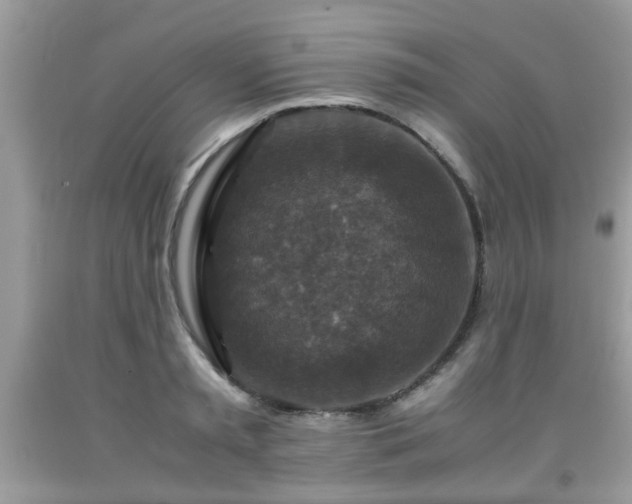 X0000091960797200709131226