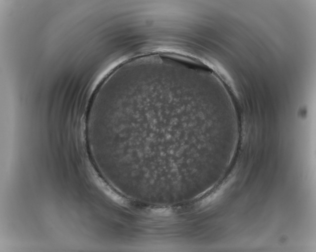 X0000091960798200709131226