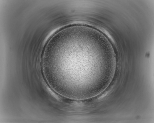 X0000091960799200709131225