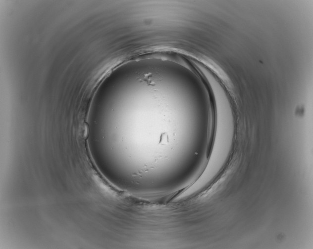 X0000091960801200709131225