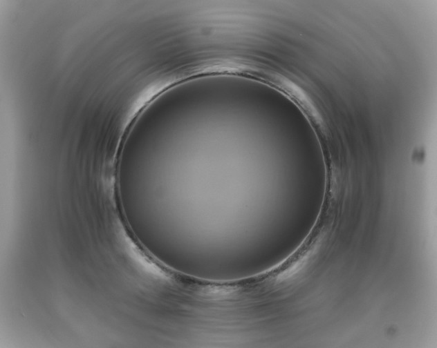 X0000091960802200709131225