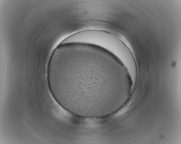 X0000091960803200709131225