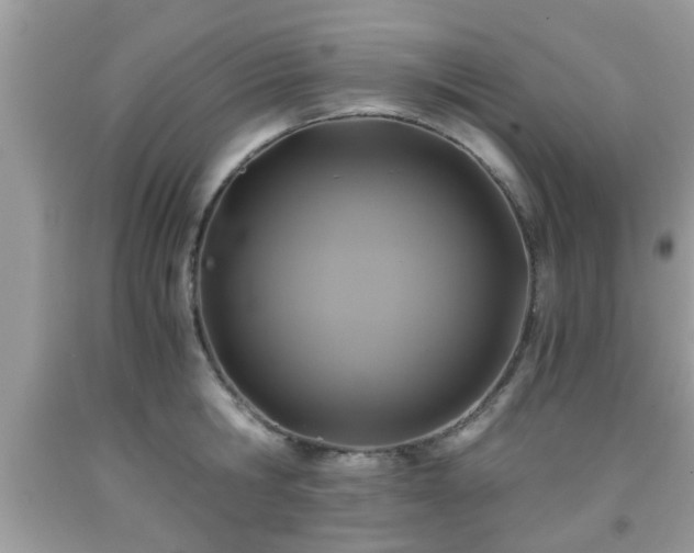 X0000091960806200709131225