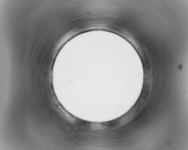 X0000091960807200709131225