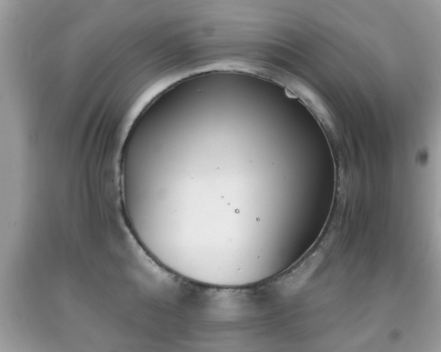 X0000091960808200709131225