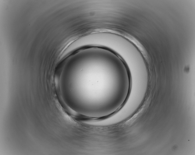 X0000091960809200709131225