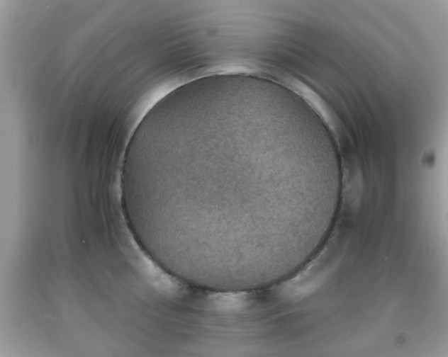 X0000091960810200709131225