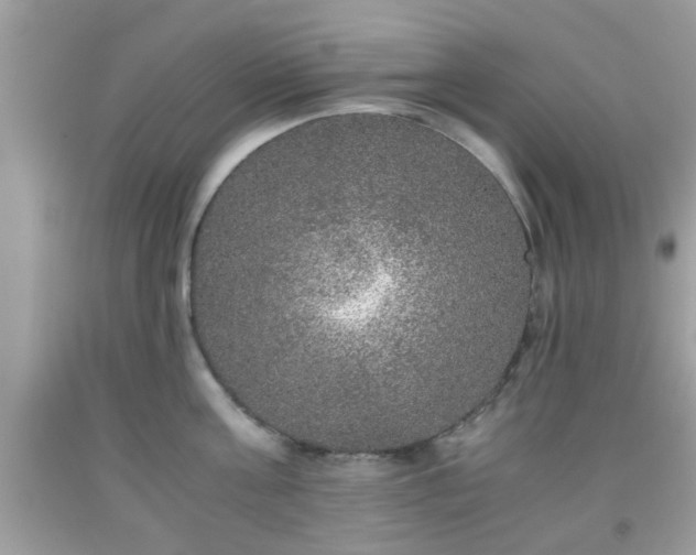 X0000091960811200709131225