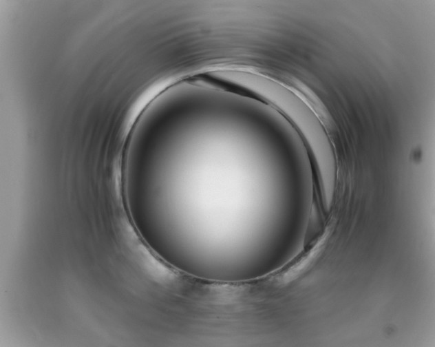 X0000091960812200709131225